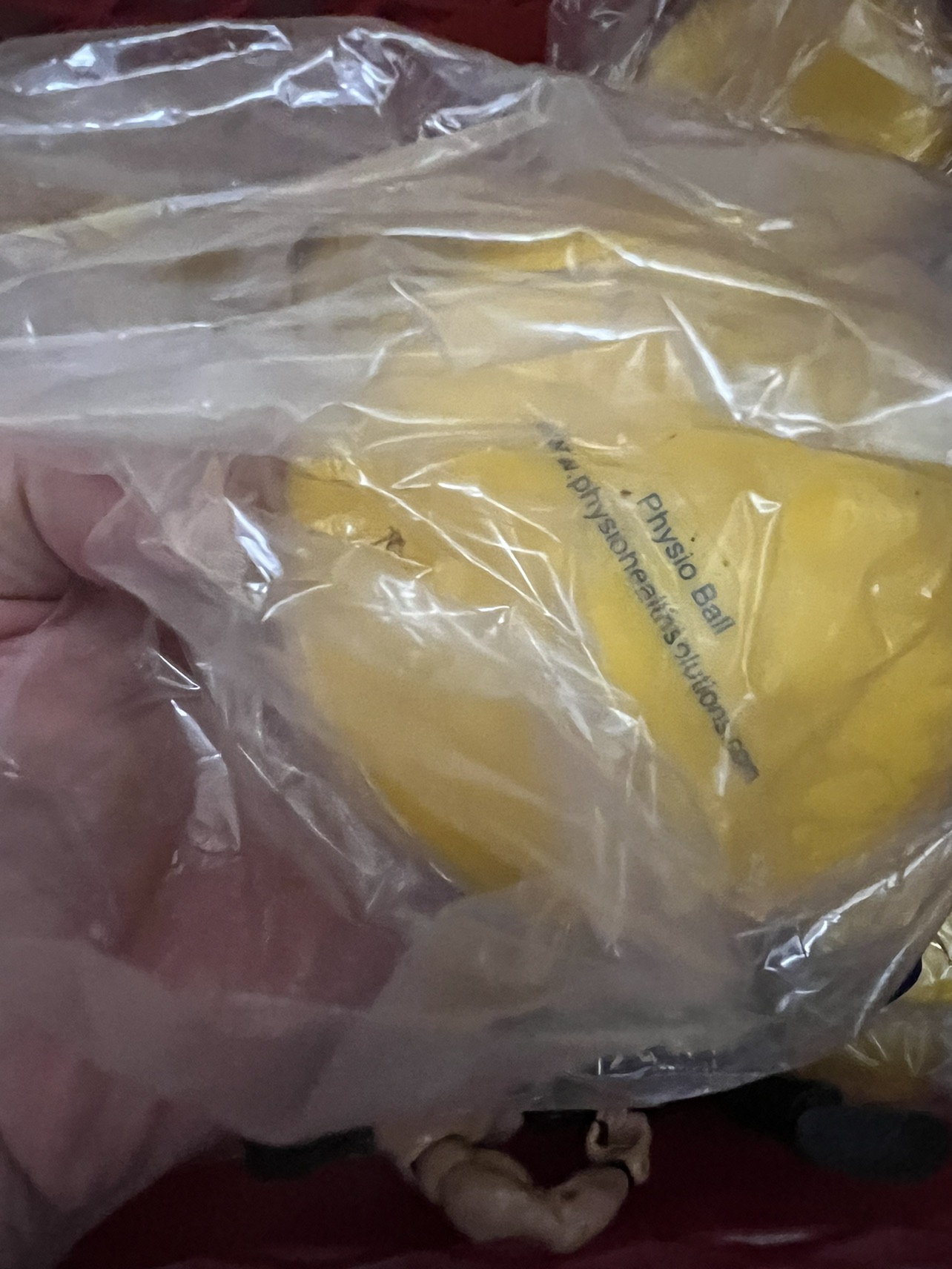 1 pound physio balls - photo 2