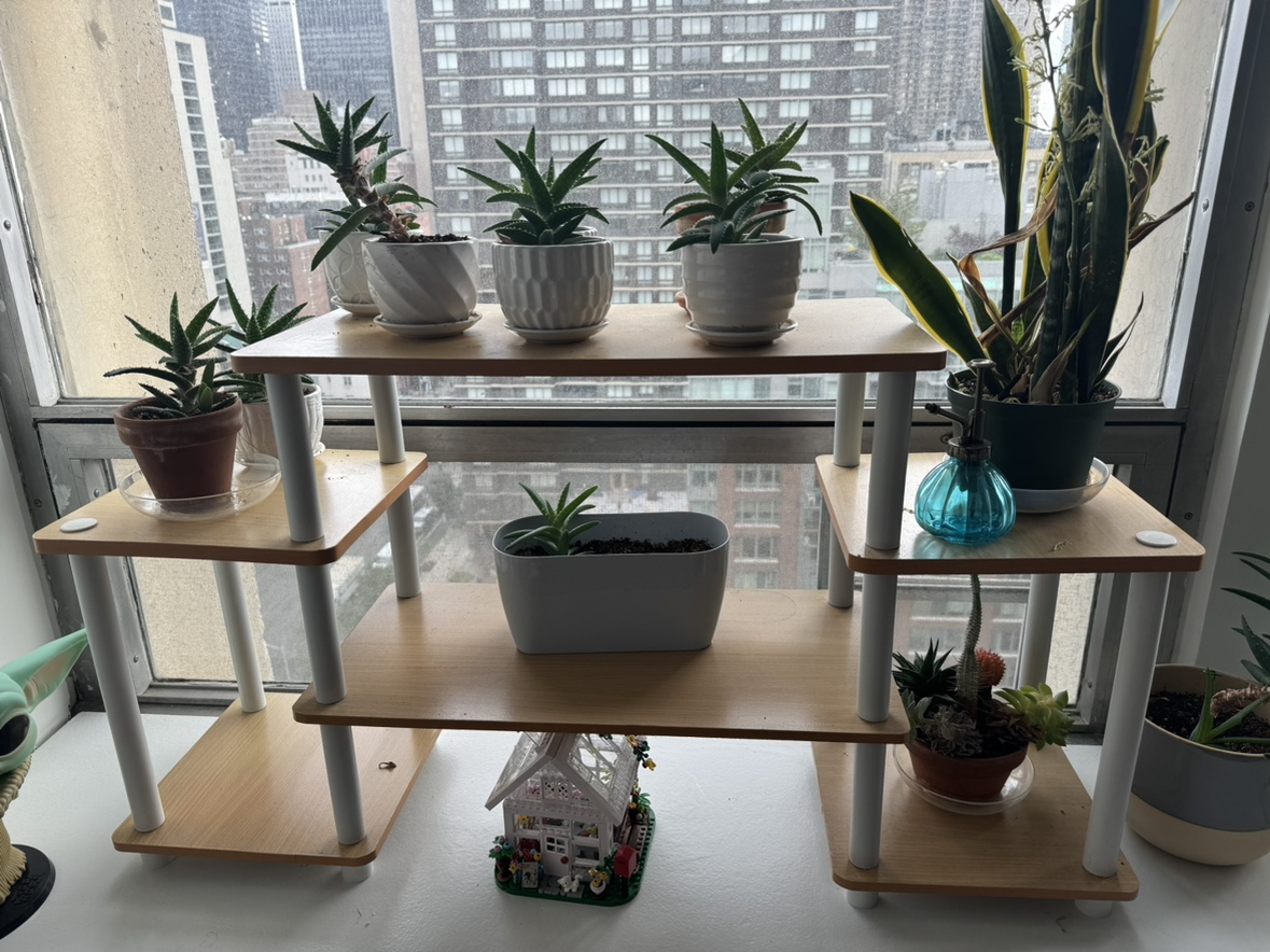 Plant Stand/ Organizer/ TV Stand