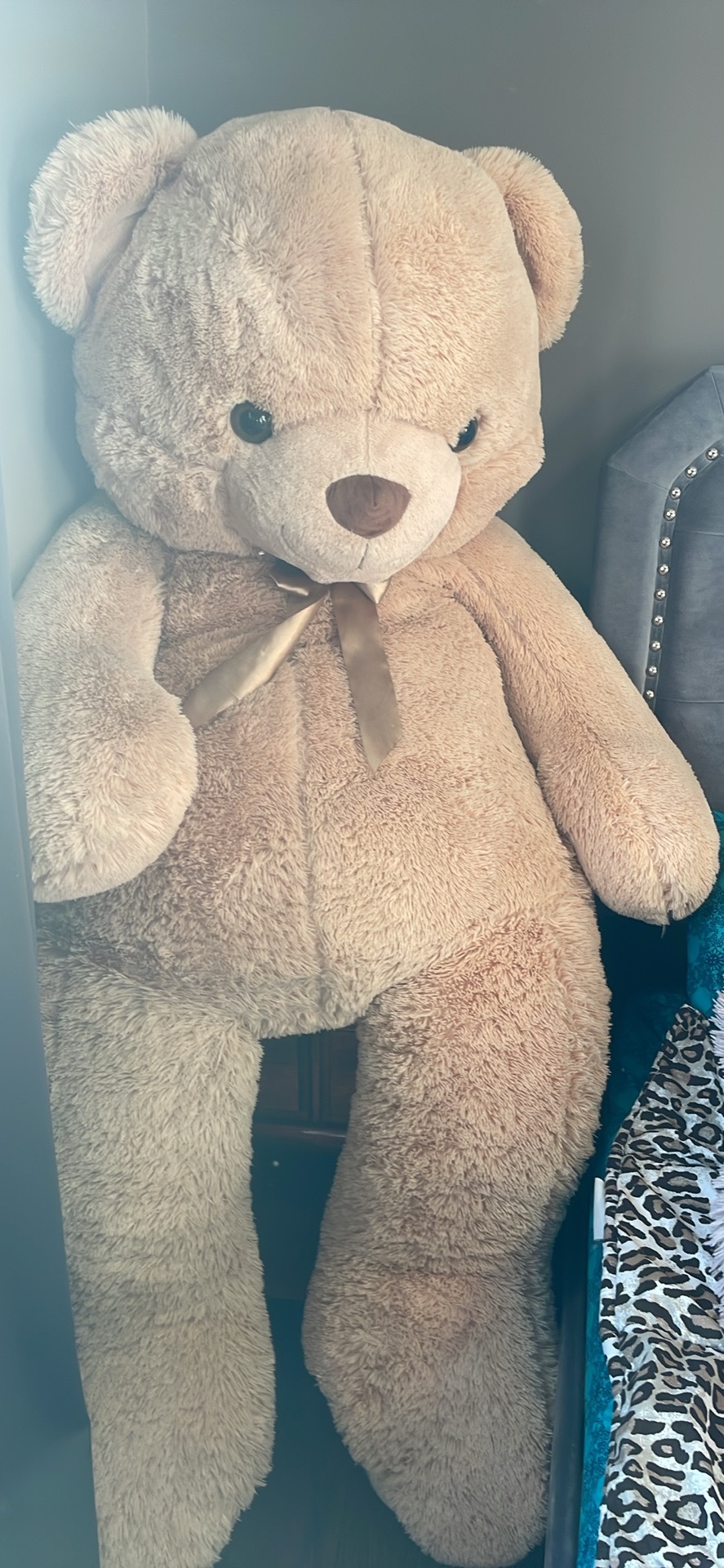 teddy bear