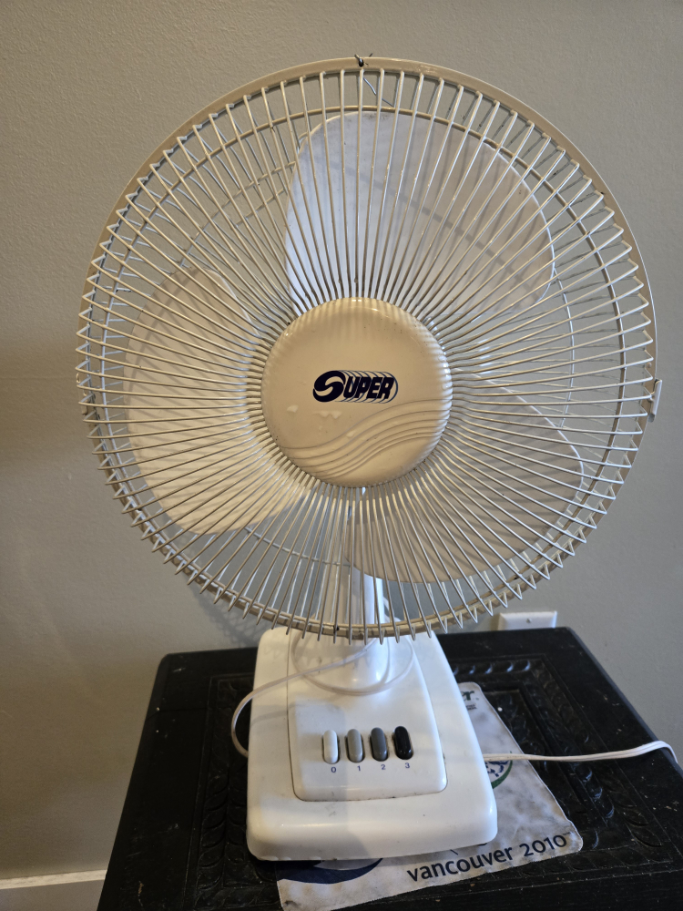 electric fan thumbnail
