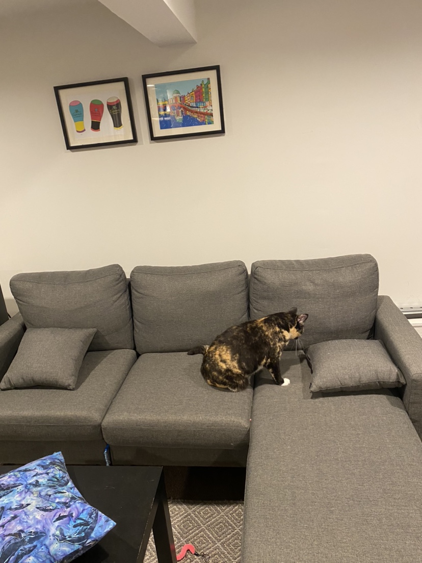 Small sectional couch - moving