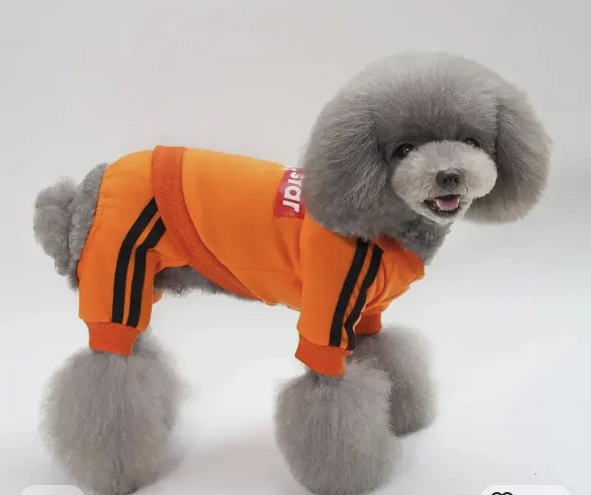 New jumpsuit for small dogs (Orange) image indicator(2)
