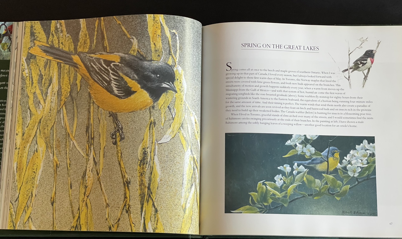 Beautifully illustrated BIRDS book by Robert Bateman - photo 2