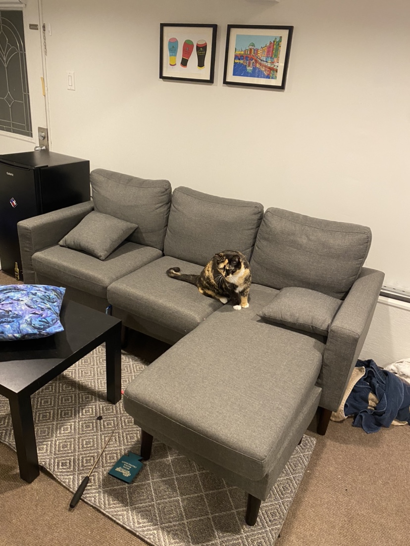 Small sectional couch - moving - photo 2