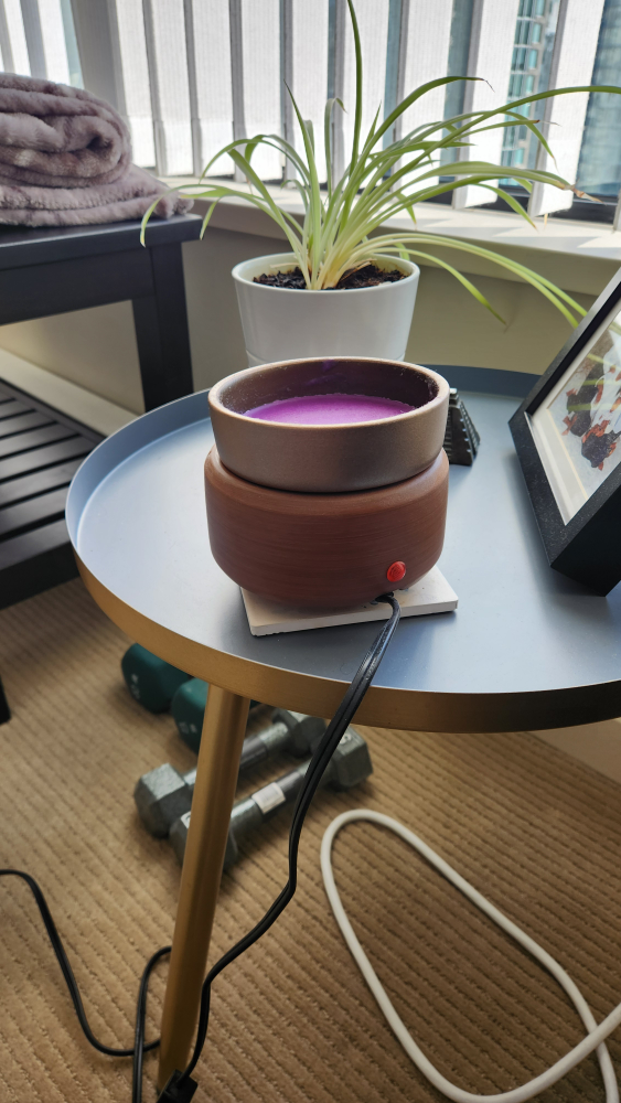 Candle Warmer and Wax Melts