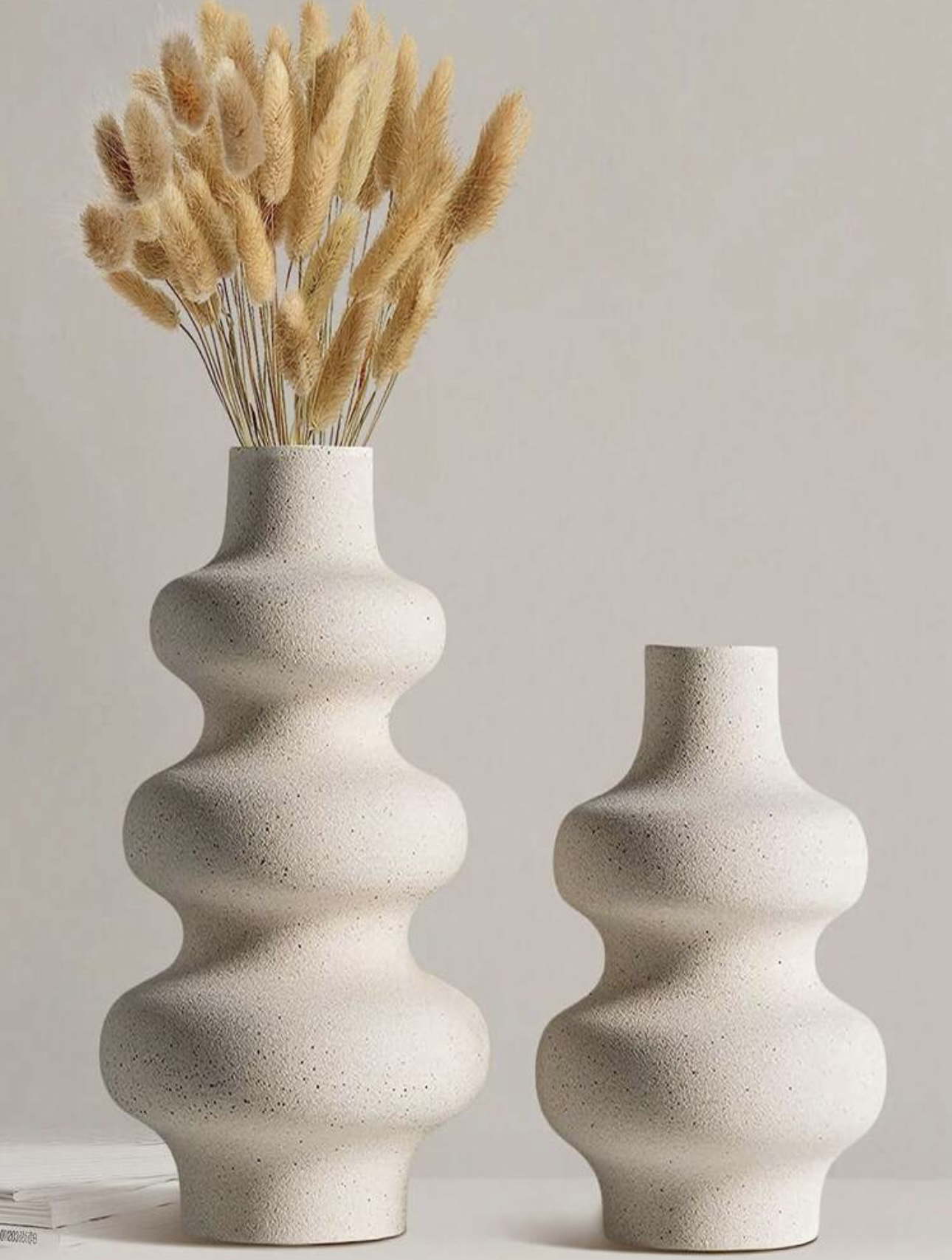2 Ceramic Vases for modern home decor with Pampas - photo 3