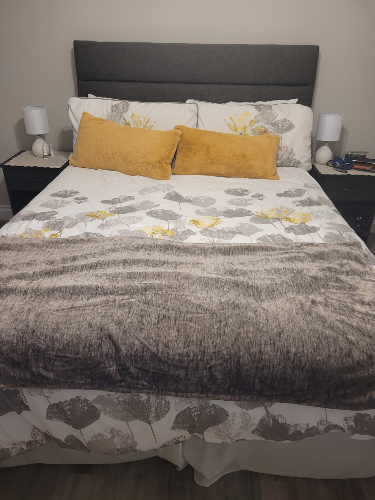 Queen Bed with Mattress