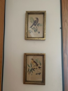 pictures