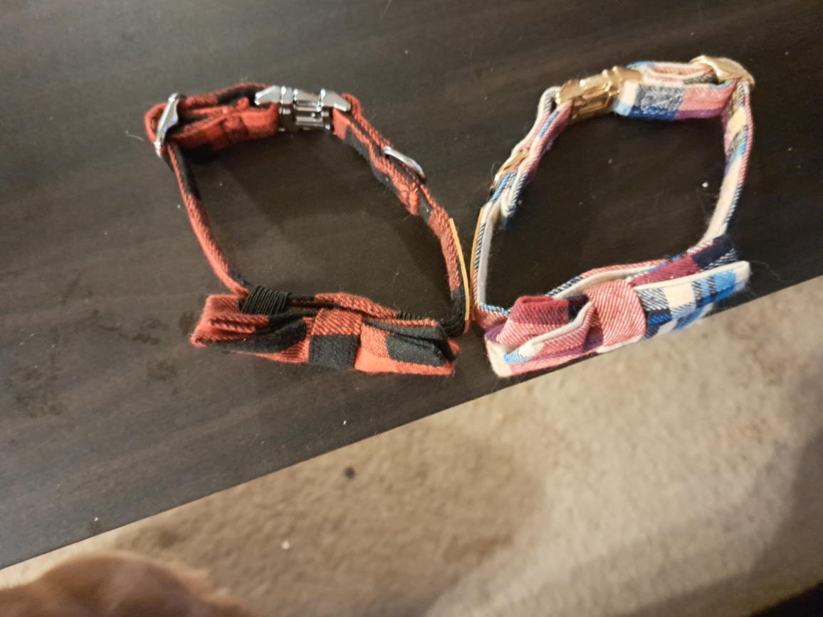 🧡  Cute collars - photo 2