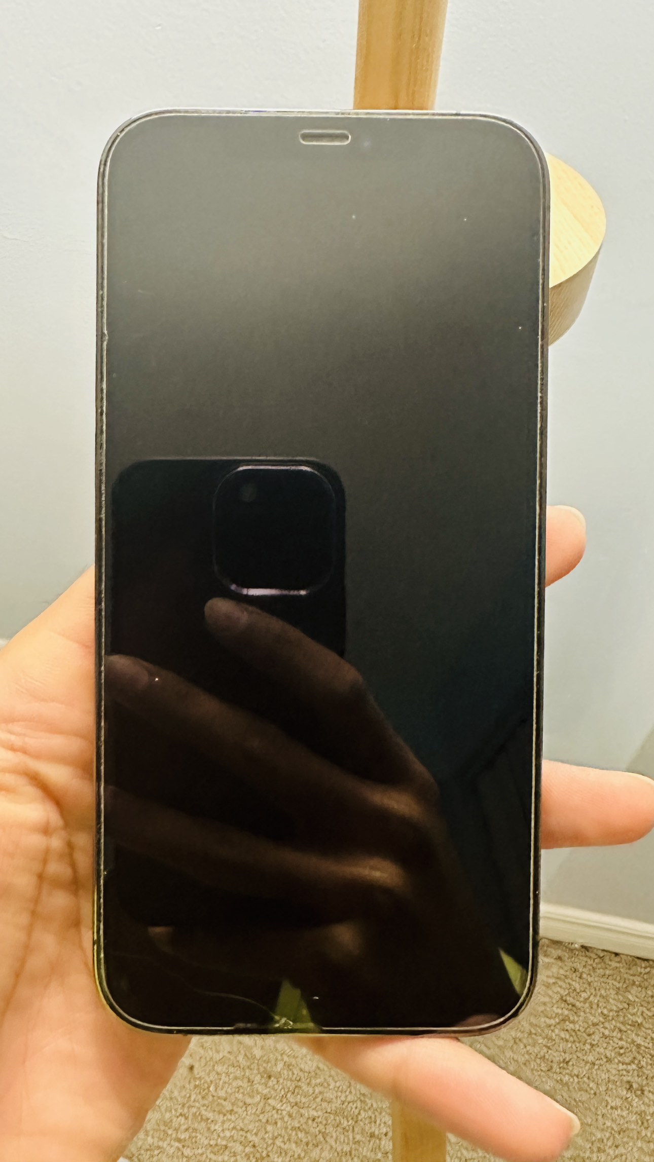 Apple iPhone 12Pro Max 256GB (Space Grey) image indicator(2)