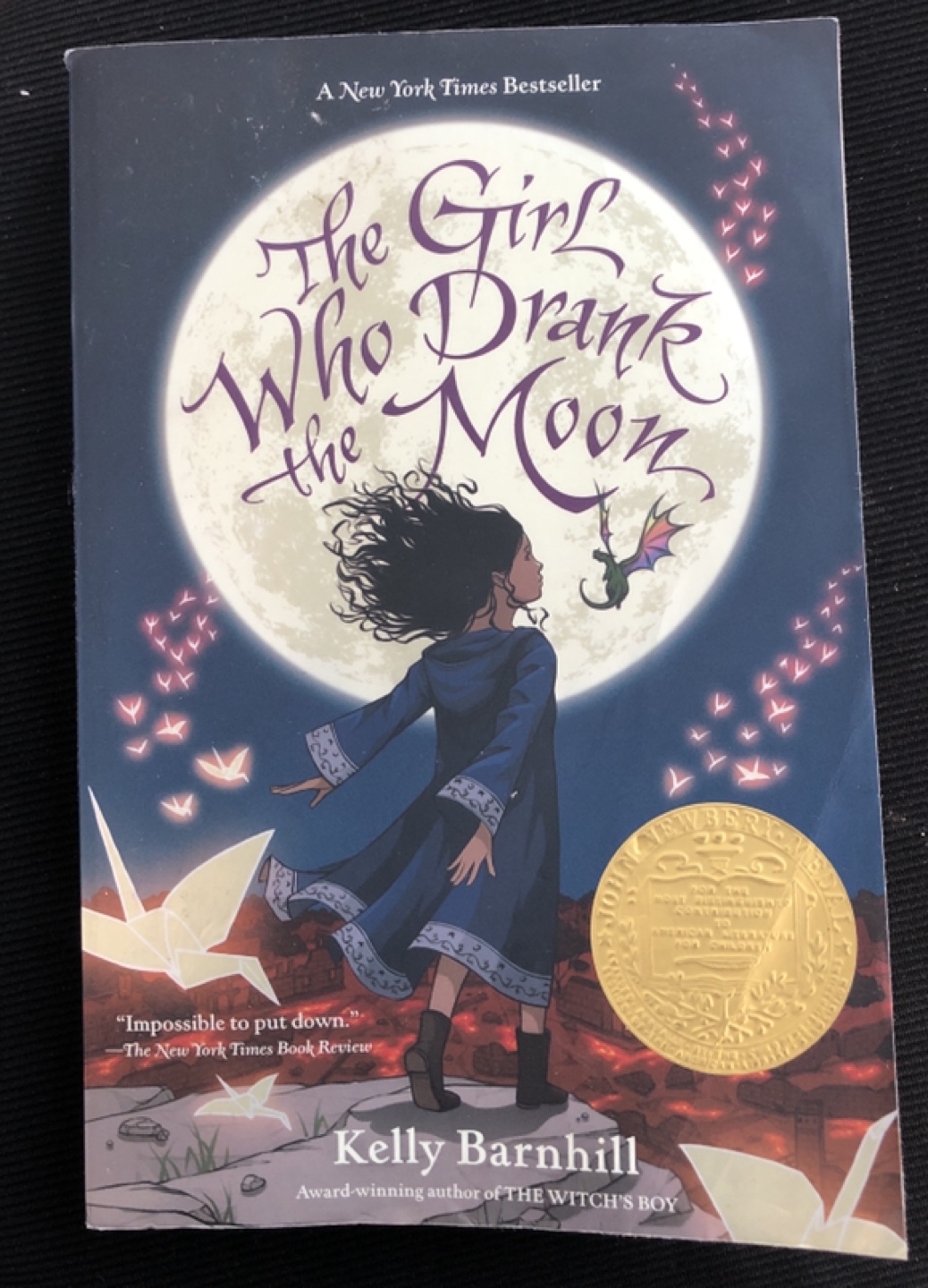 The Girl Who Drank The Moon