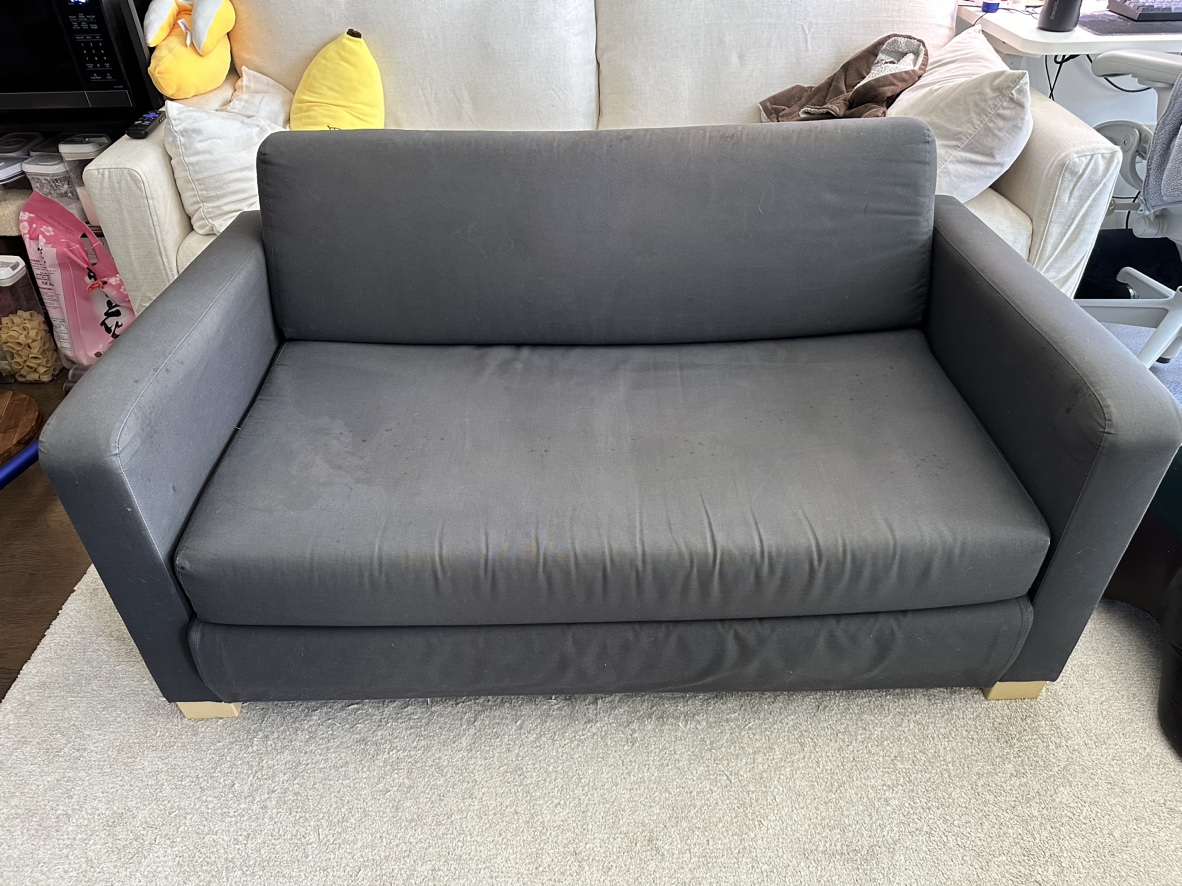 Sleeper Sofa 54”