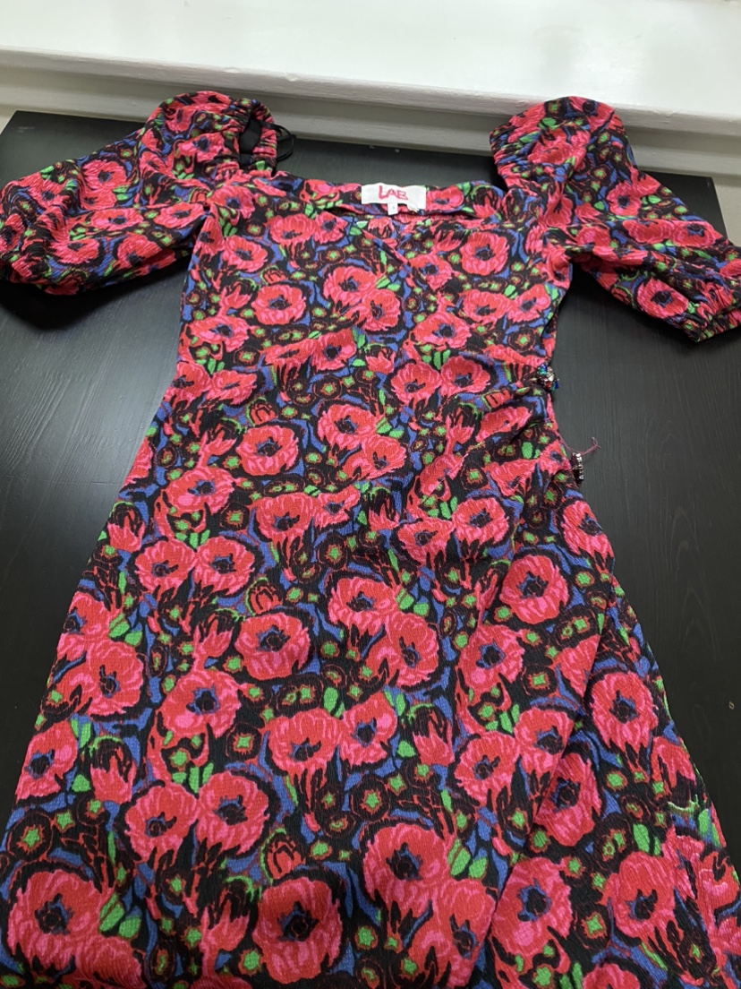 Ba and sh lab creative dress