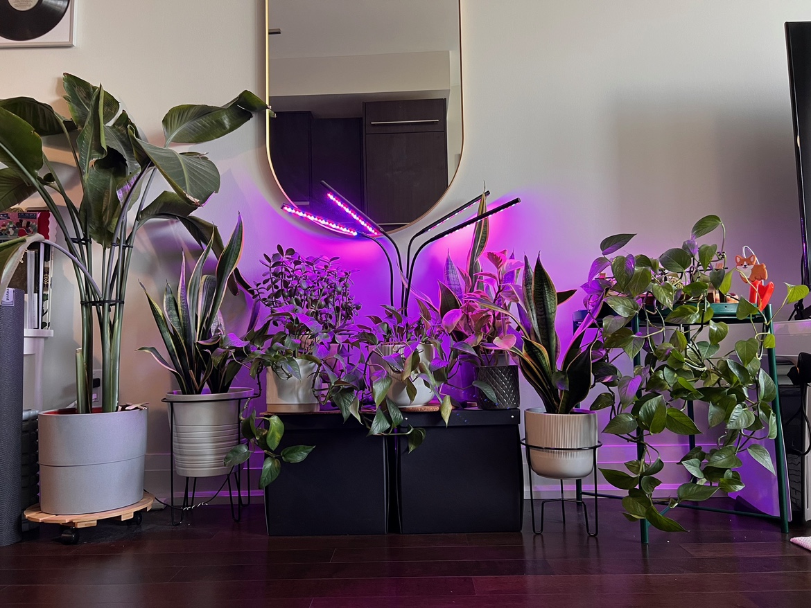 Grow Lights for Indoor Plant, with Tripod Stand and Clip thumbnail
