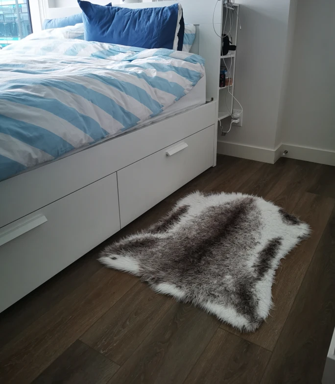 Small rugs (Set of 2) - $15