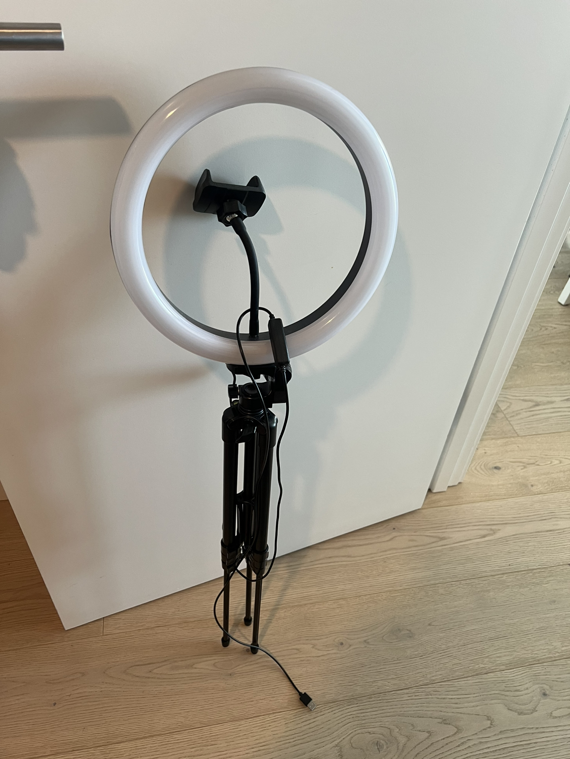 12‘‘ Ring Light （3 light colors）