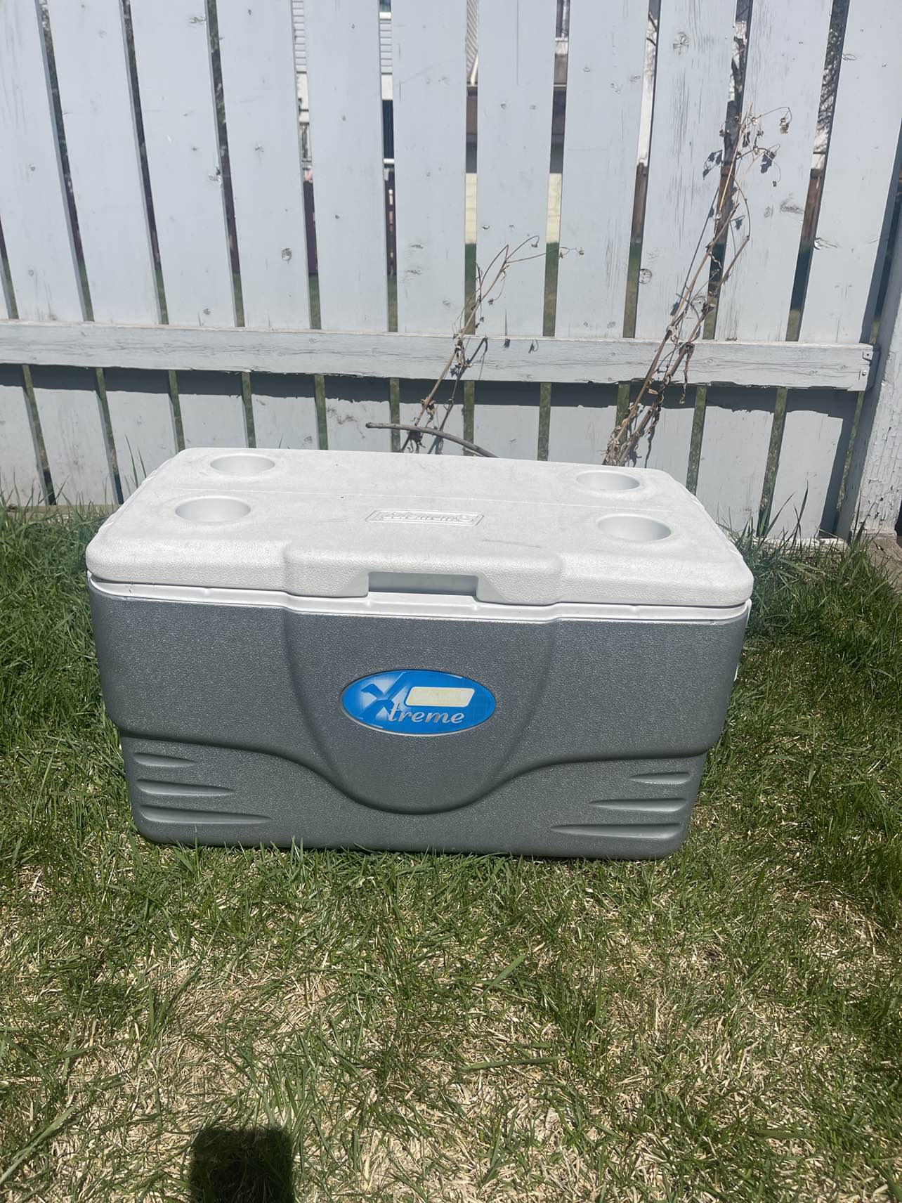 Cooler Coleman