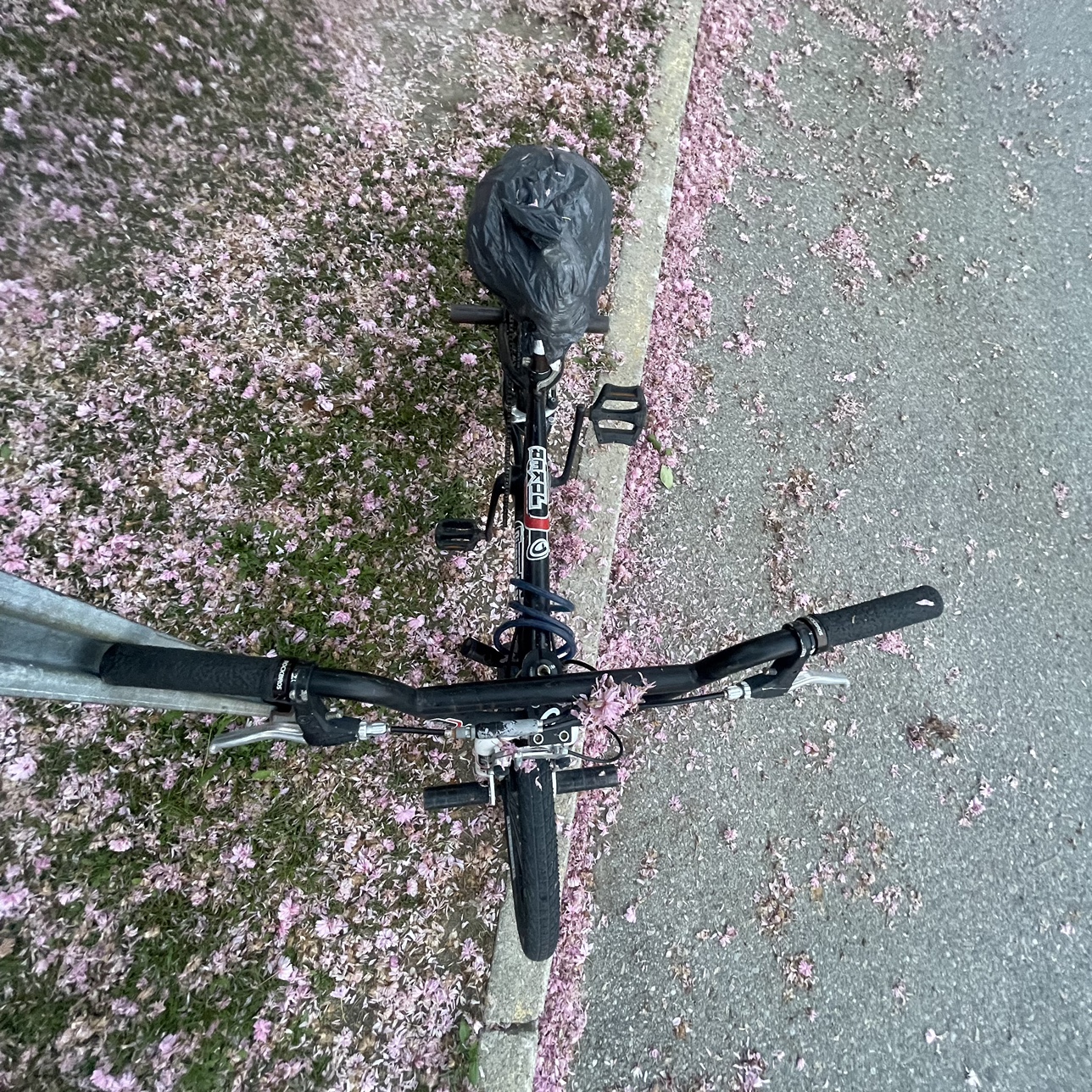 Diamondback joker BMX bike