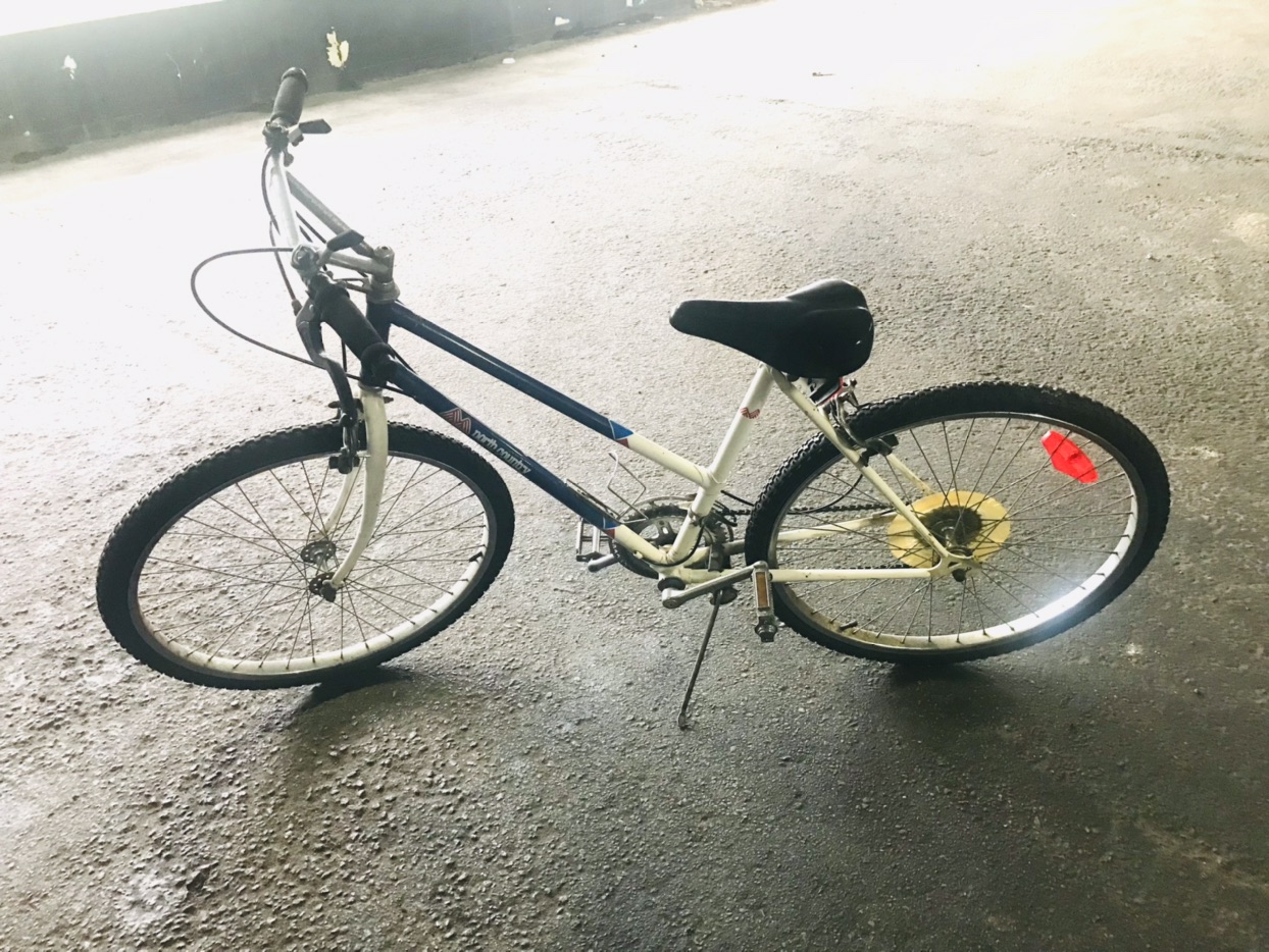 North Country Bike image indicator(9)