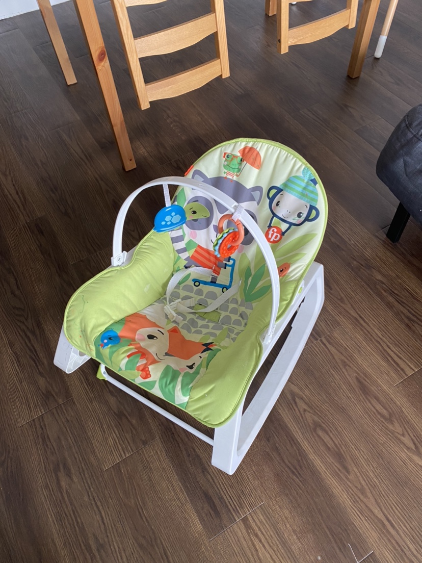 Fisher Price Chair & Gym