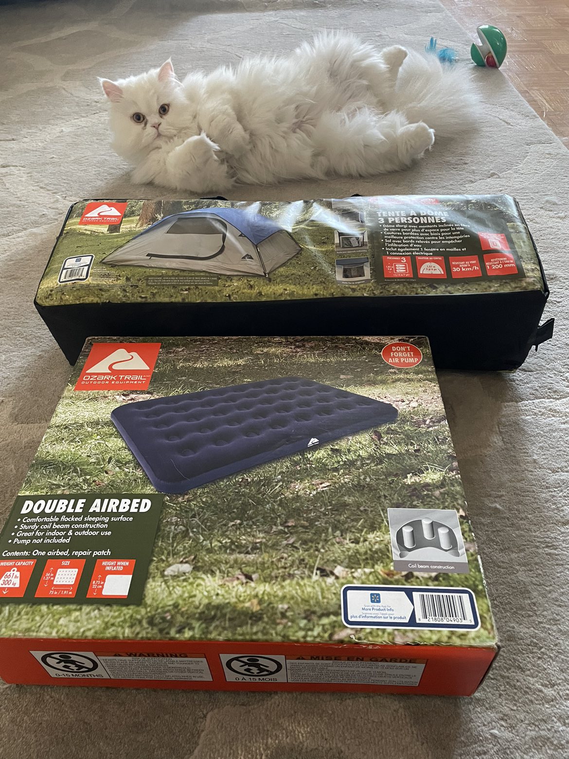 Air mattress + tent