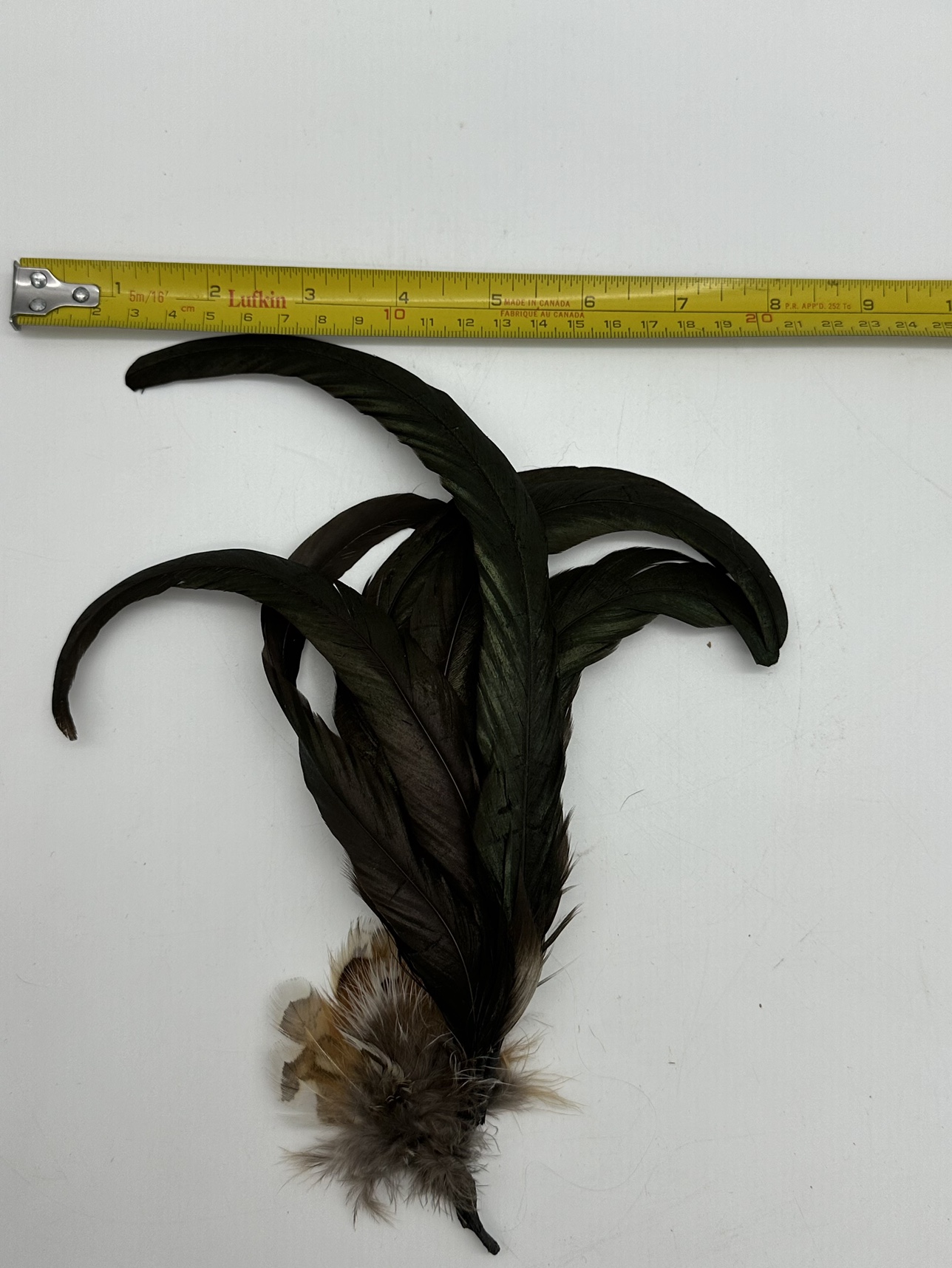 Deluxe German Bavarian European Oktoberfest Hat Feathers - photo 3