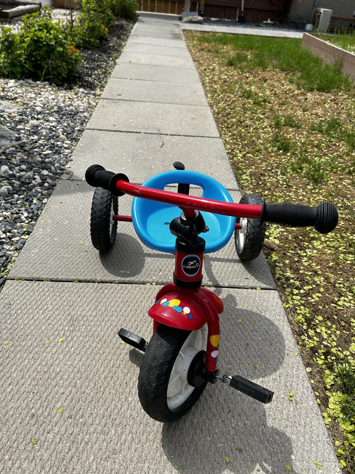 Toddler Trike