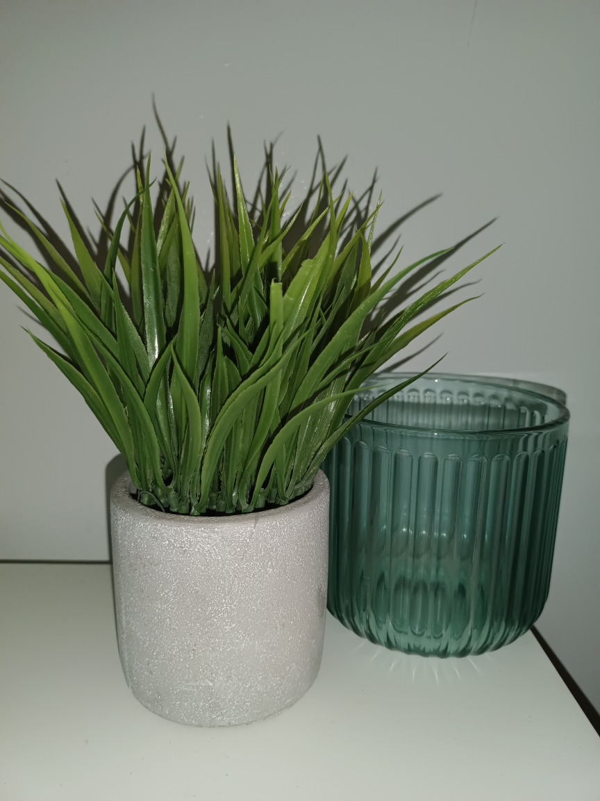 Artificial Plants, Pots from Ikea, all for $10 - photo 4