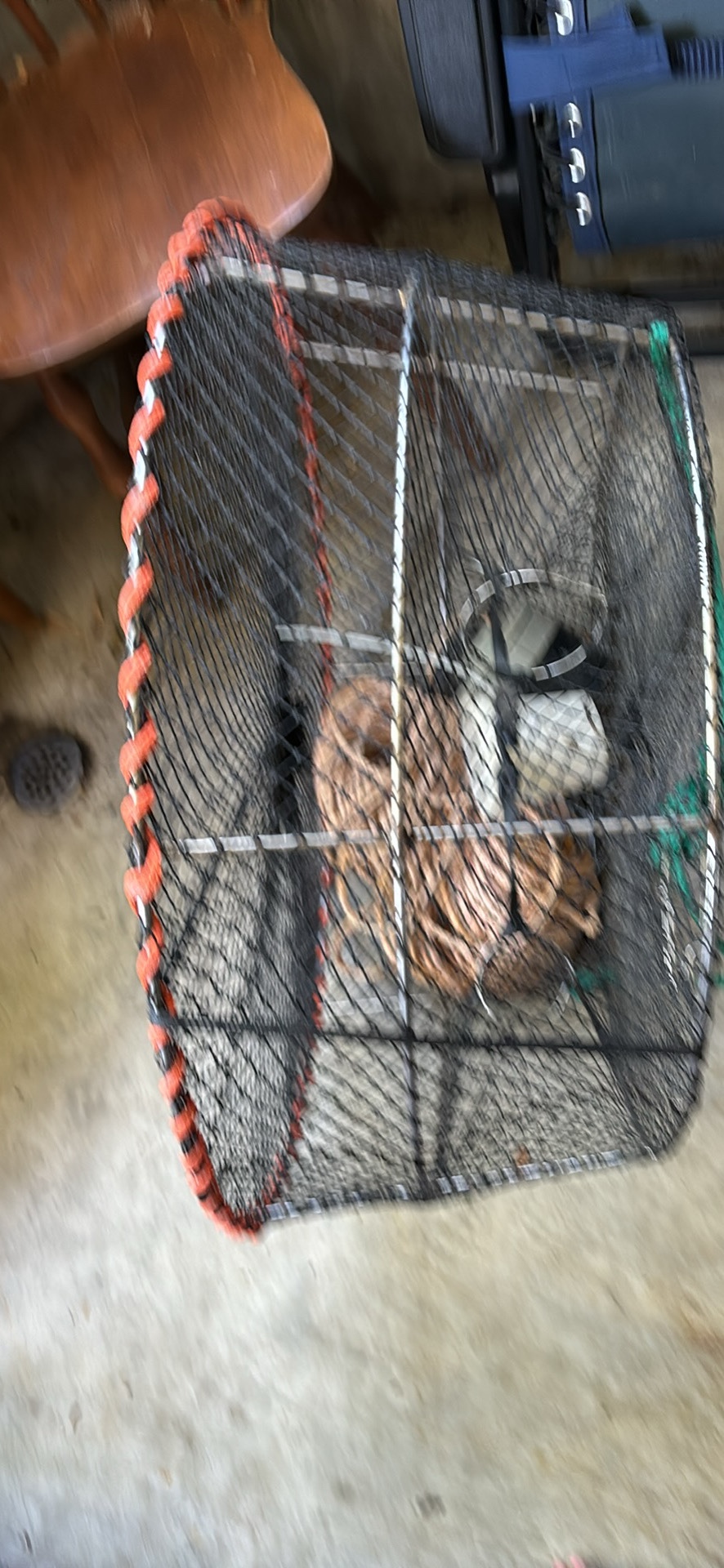 Shrimp & prawn trap with rope and bait traps -Large 🥕 image indicator(2)