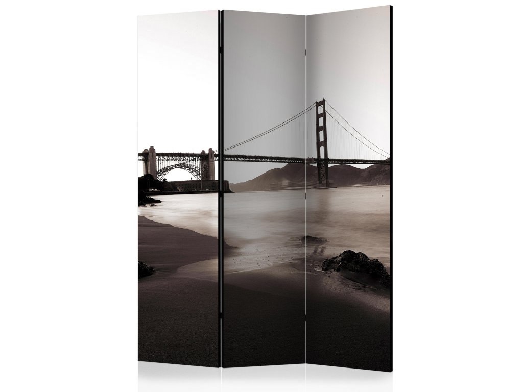 NEW in BOX Stylish Monochrome Room Divider — 4 Panel Canvas - photo 2