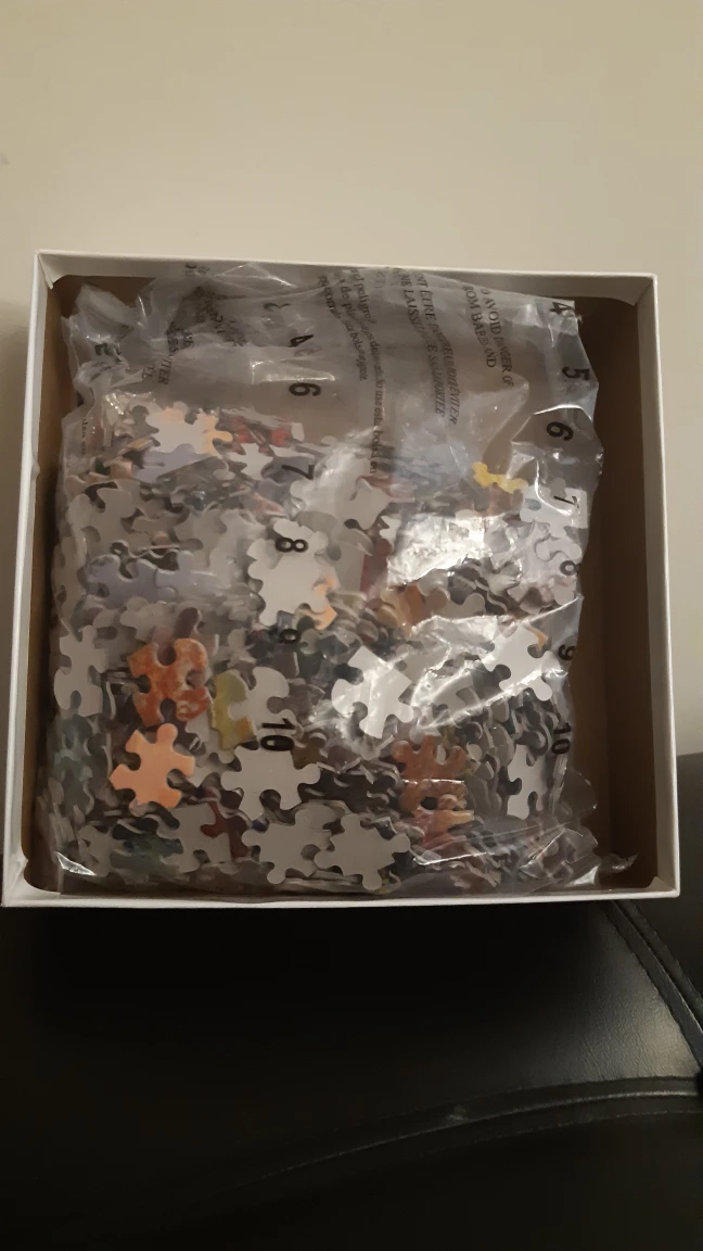 🥕1000 pieces 🧩🧩🧩 - photo 2