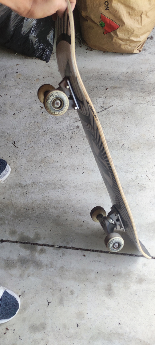skateboard - photo 2