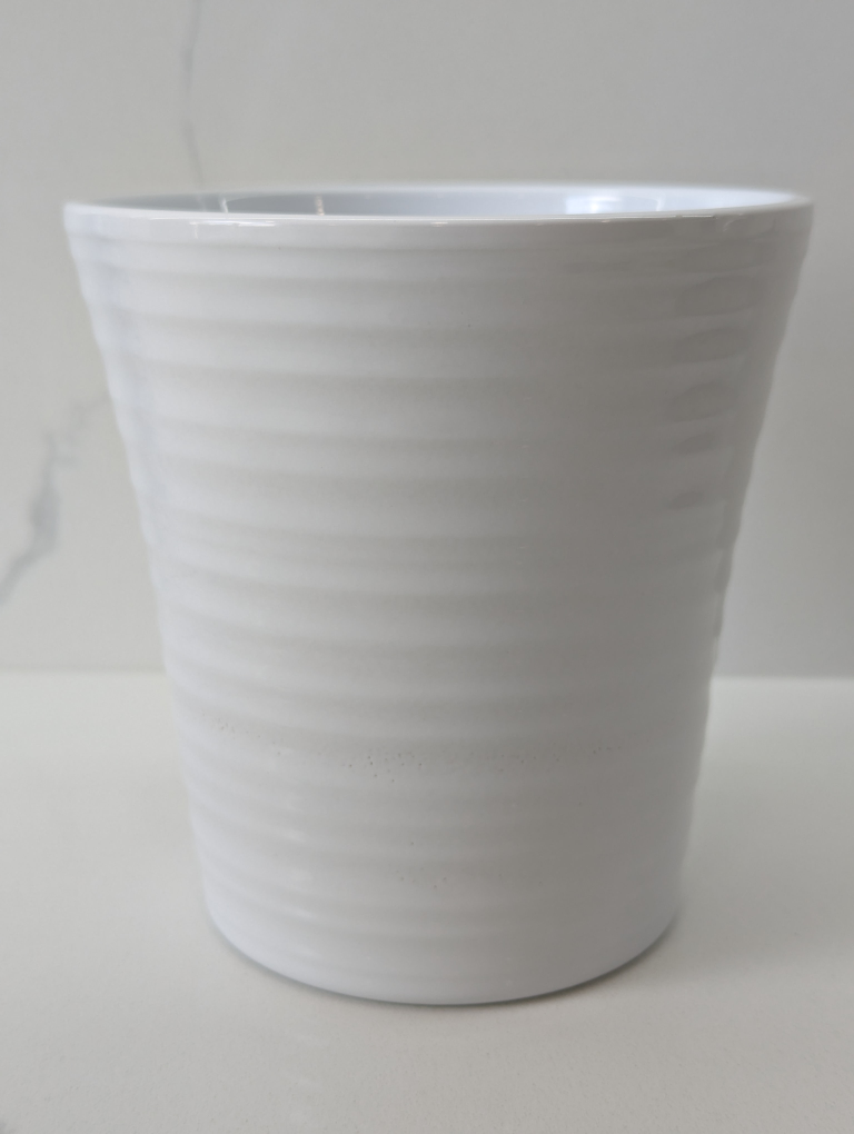 🧡 White flower pot thumbnail