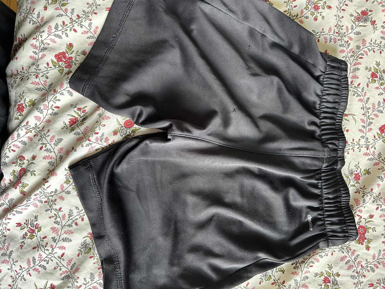 Shorts # Freecycle