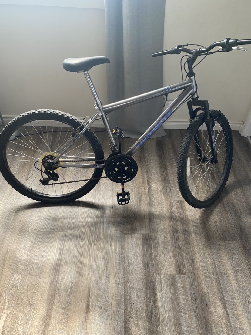 Roadmaster bicycle