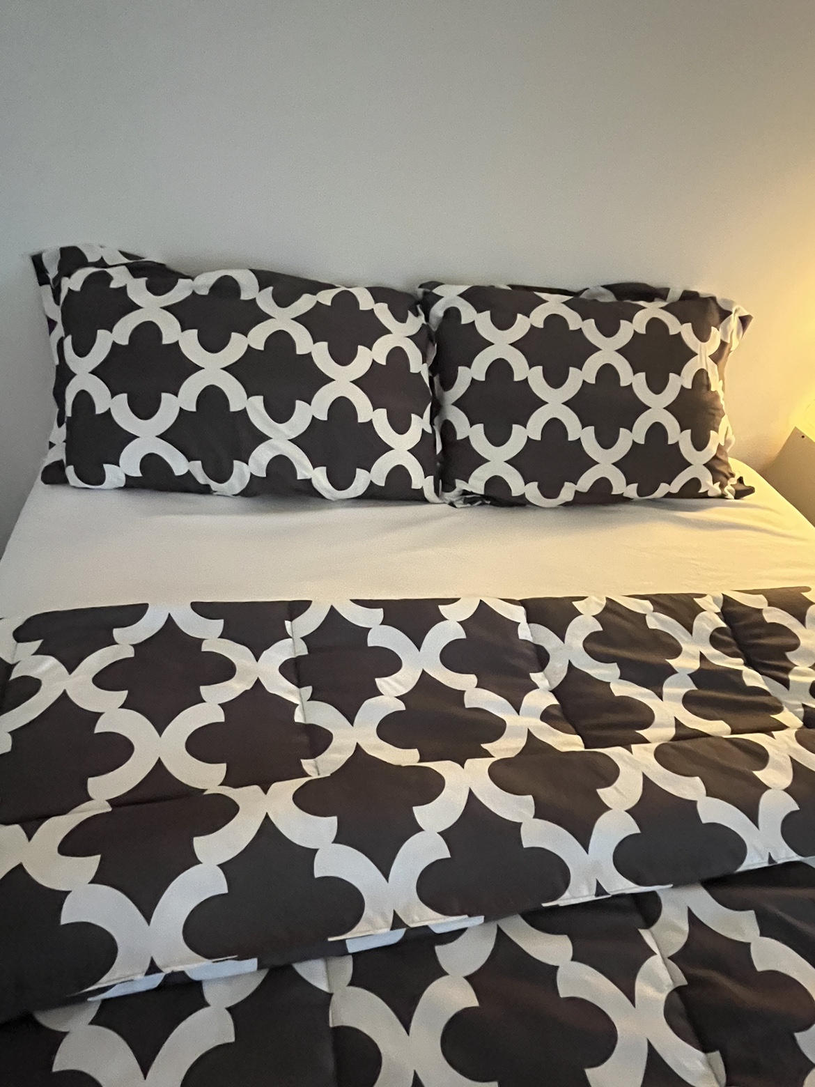 FREE Pillows and Blanket - photo 2