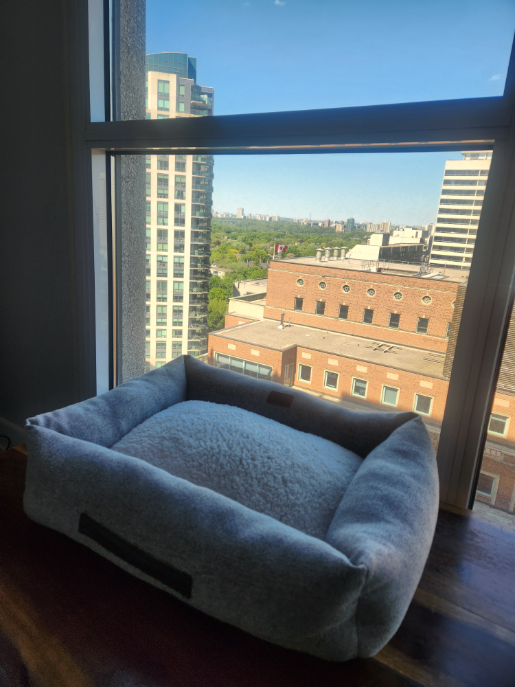 Pet Bed