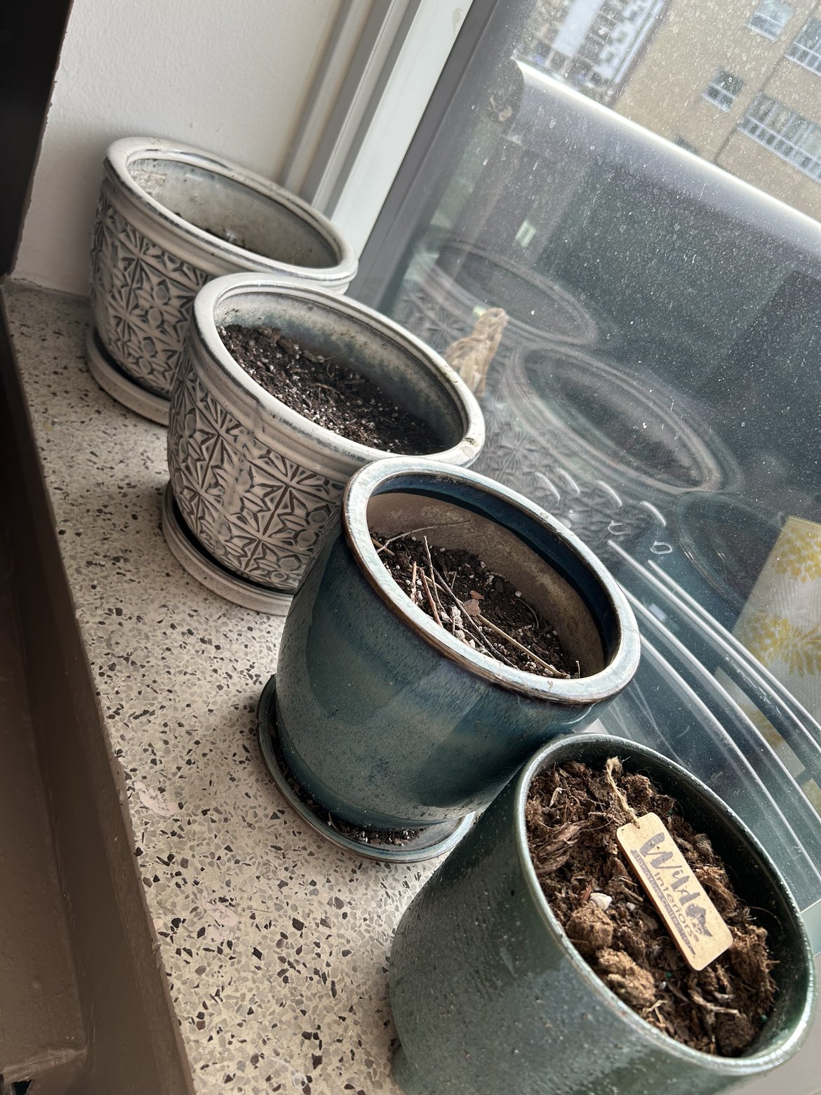 Plant pots thumbnail