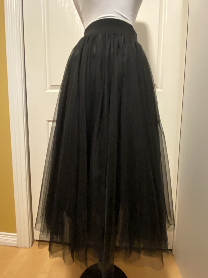 Long Black Mesh Skirt