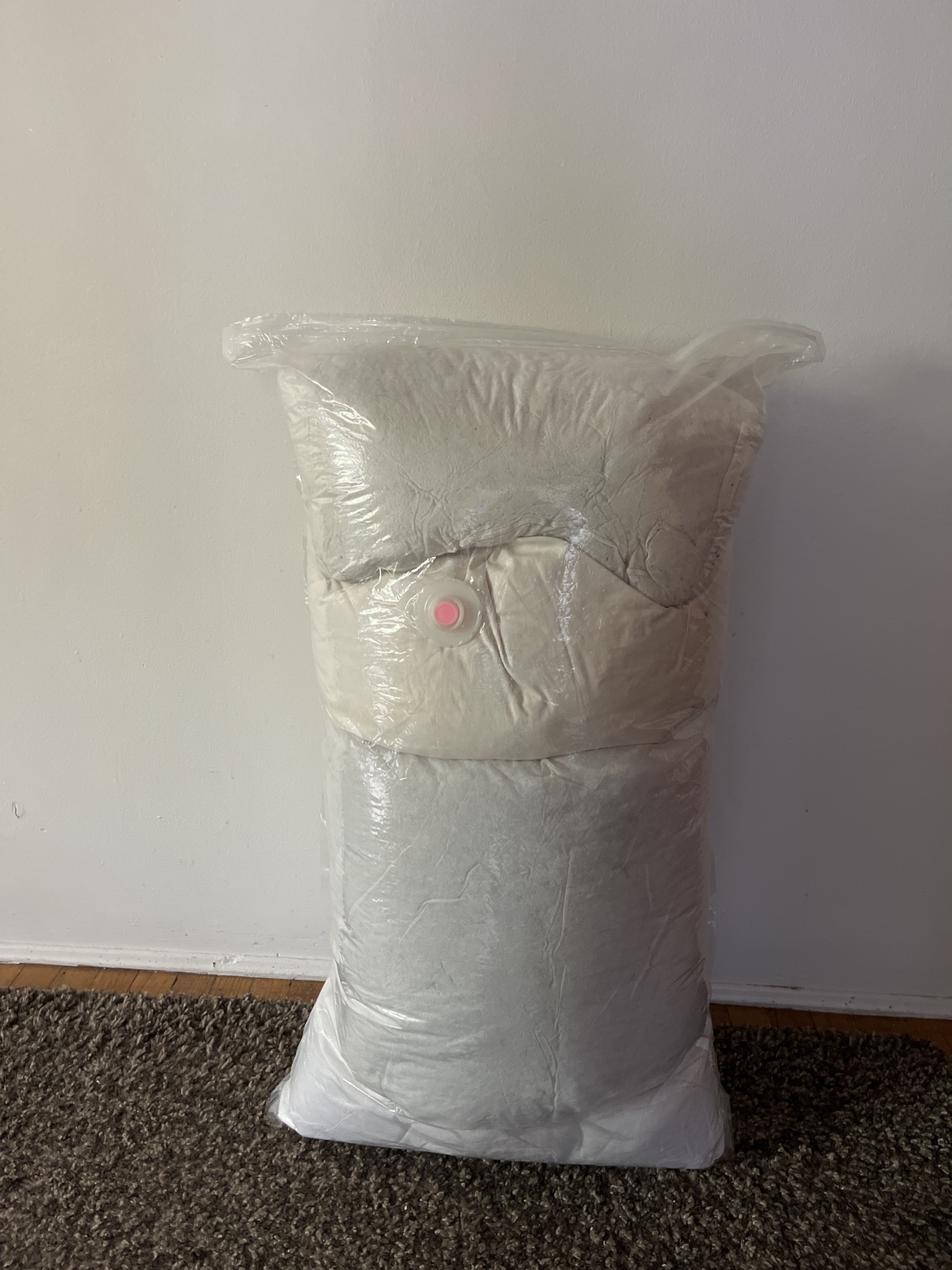 Bag of throw pillow inserts thumbnail