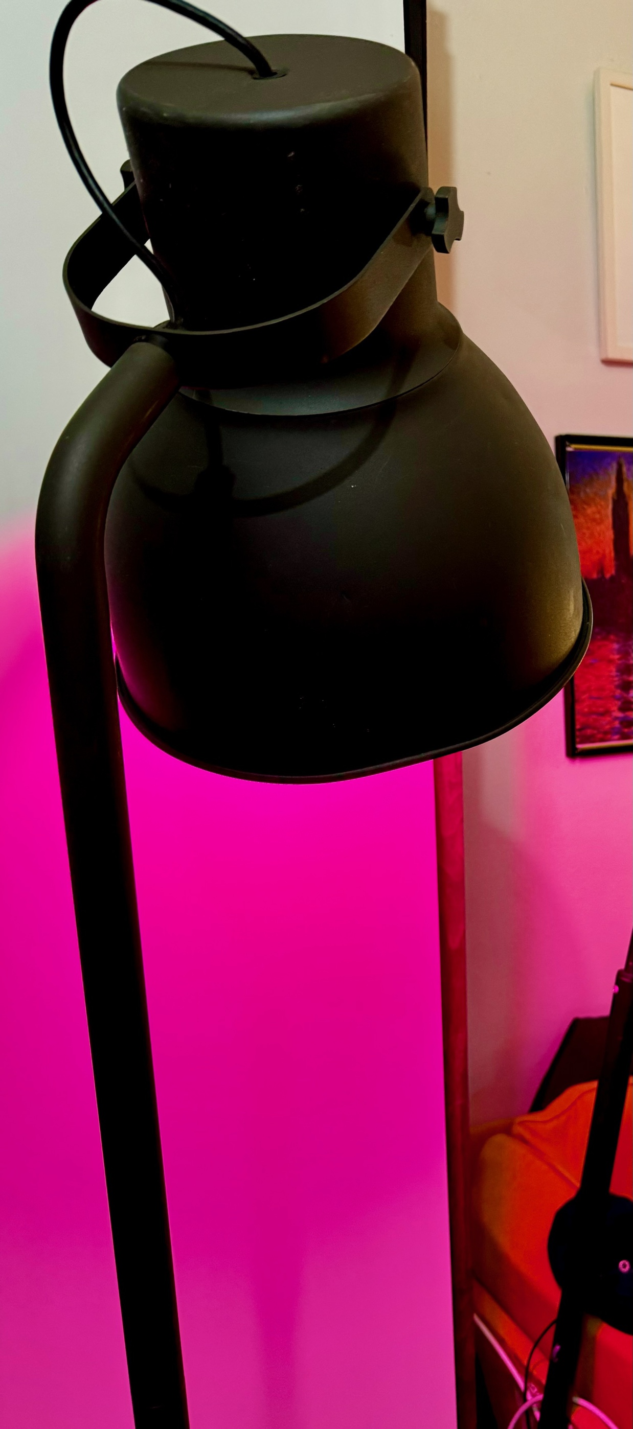 Ikea Industrial floor lamp - photo 5