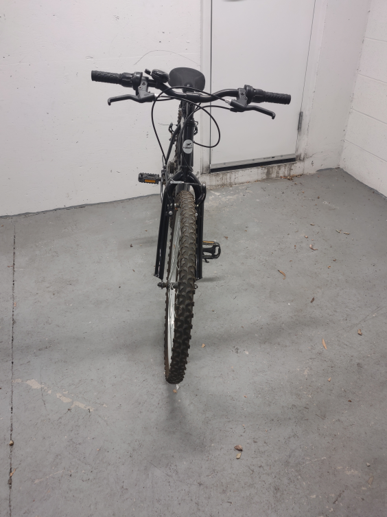 19" bike - photo 3