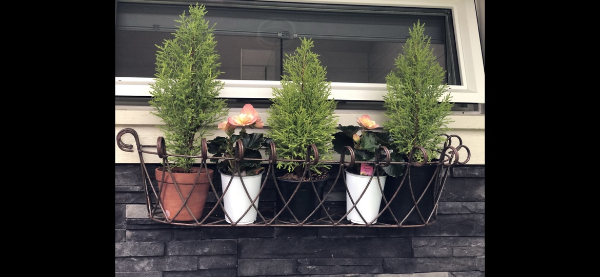 Rustic Wrought  iron window box - photo 5