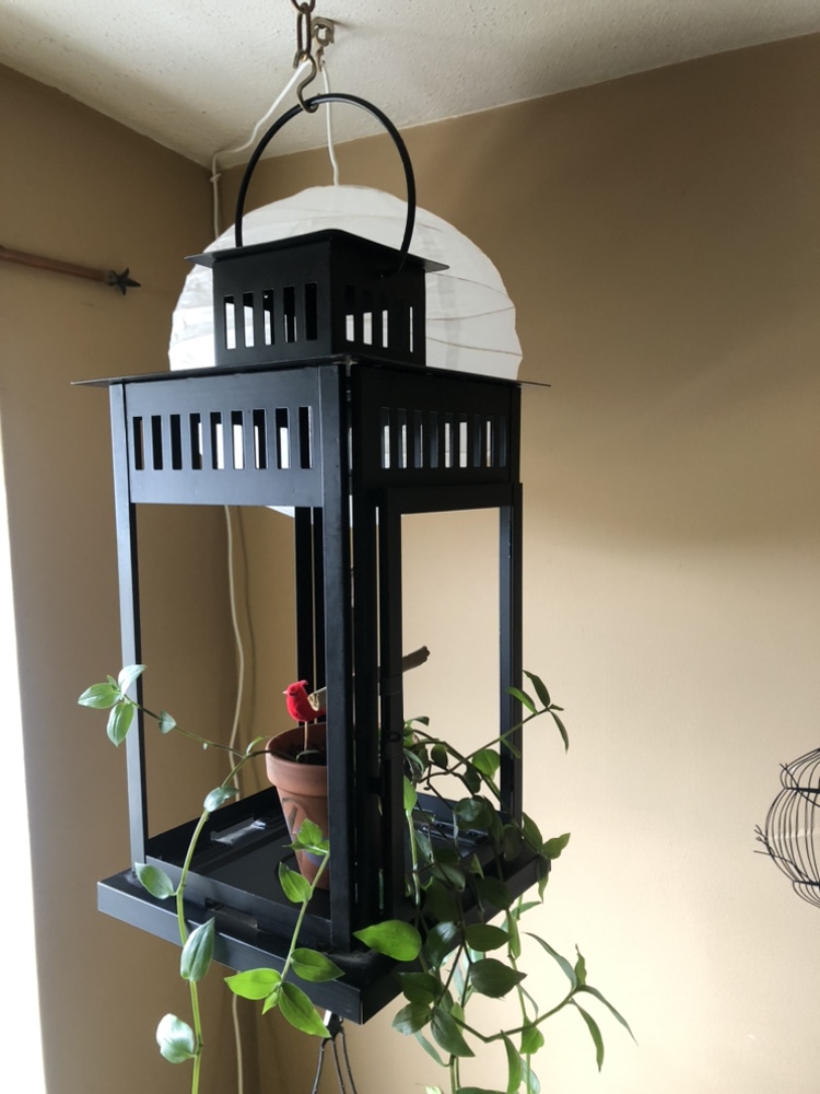 A Large Heavy Black Metal Lantern image indicator(3)