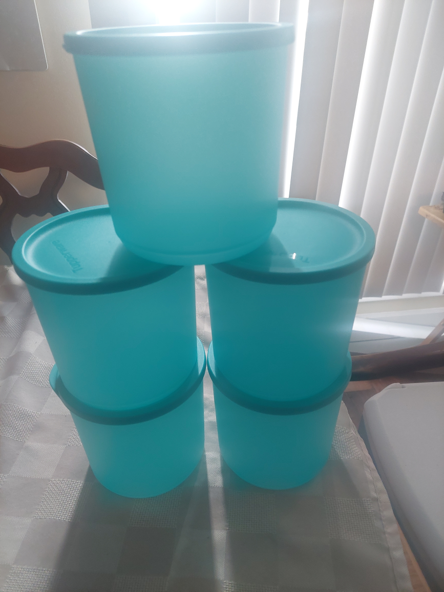 Blue Tupperware Container