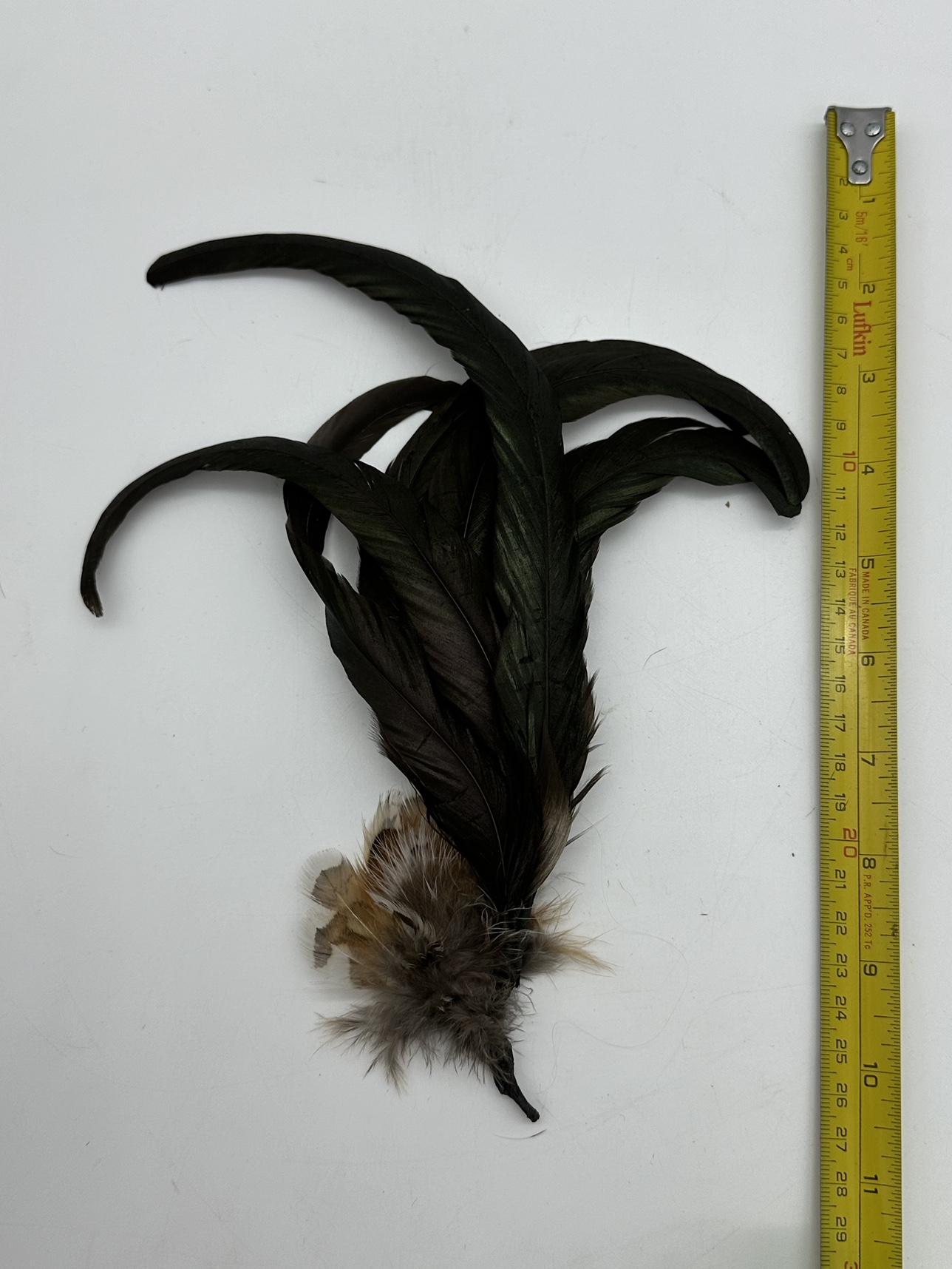 Deluxe German Bavarian European Oktoberfest Hat Feathers - photo 4