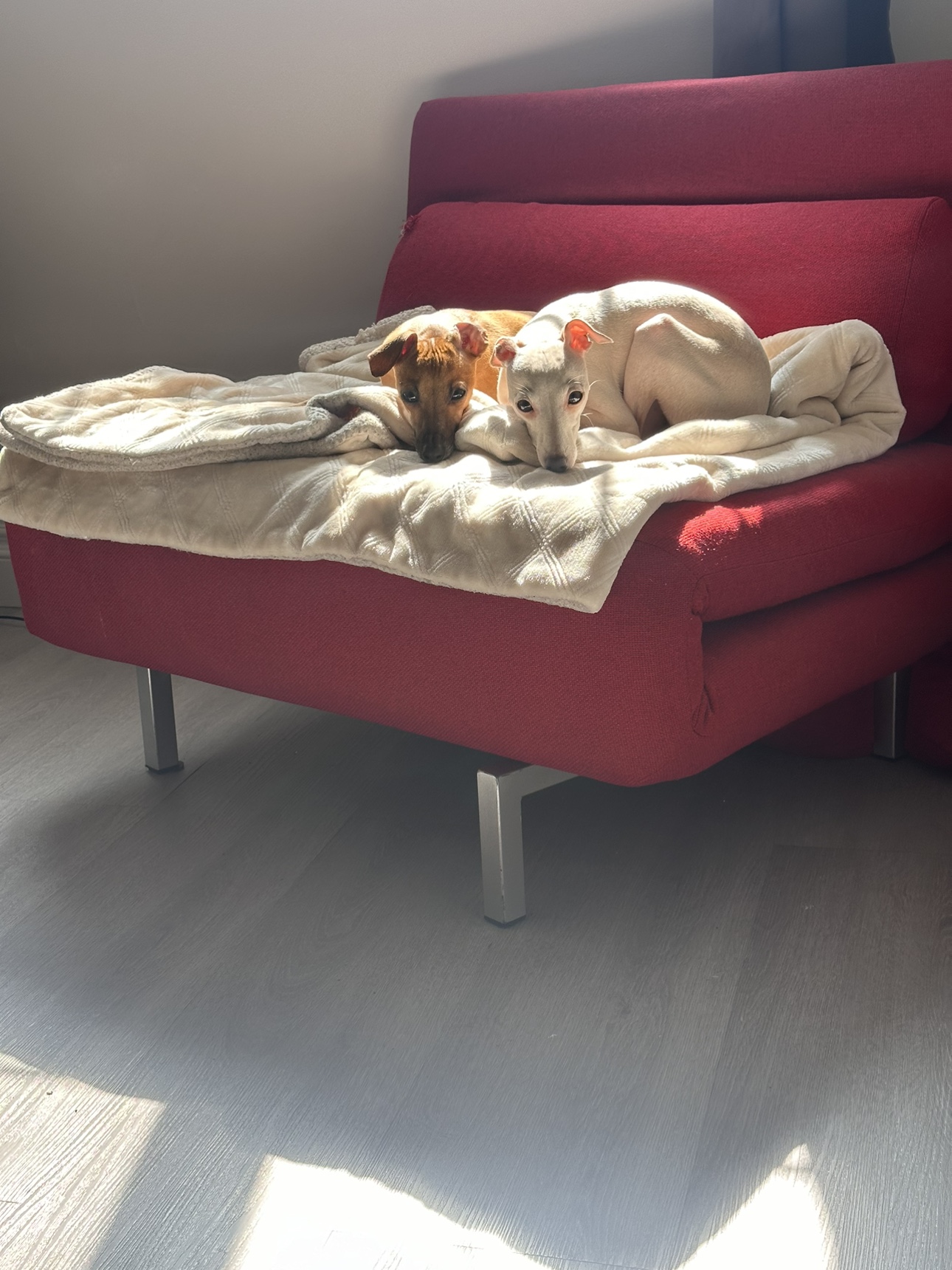 RED UPHOLSTERED SWIVEL SLIPPER CHAIR 🧡 - photo 5