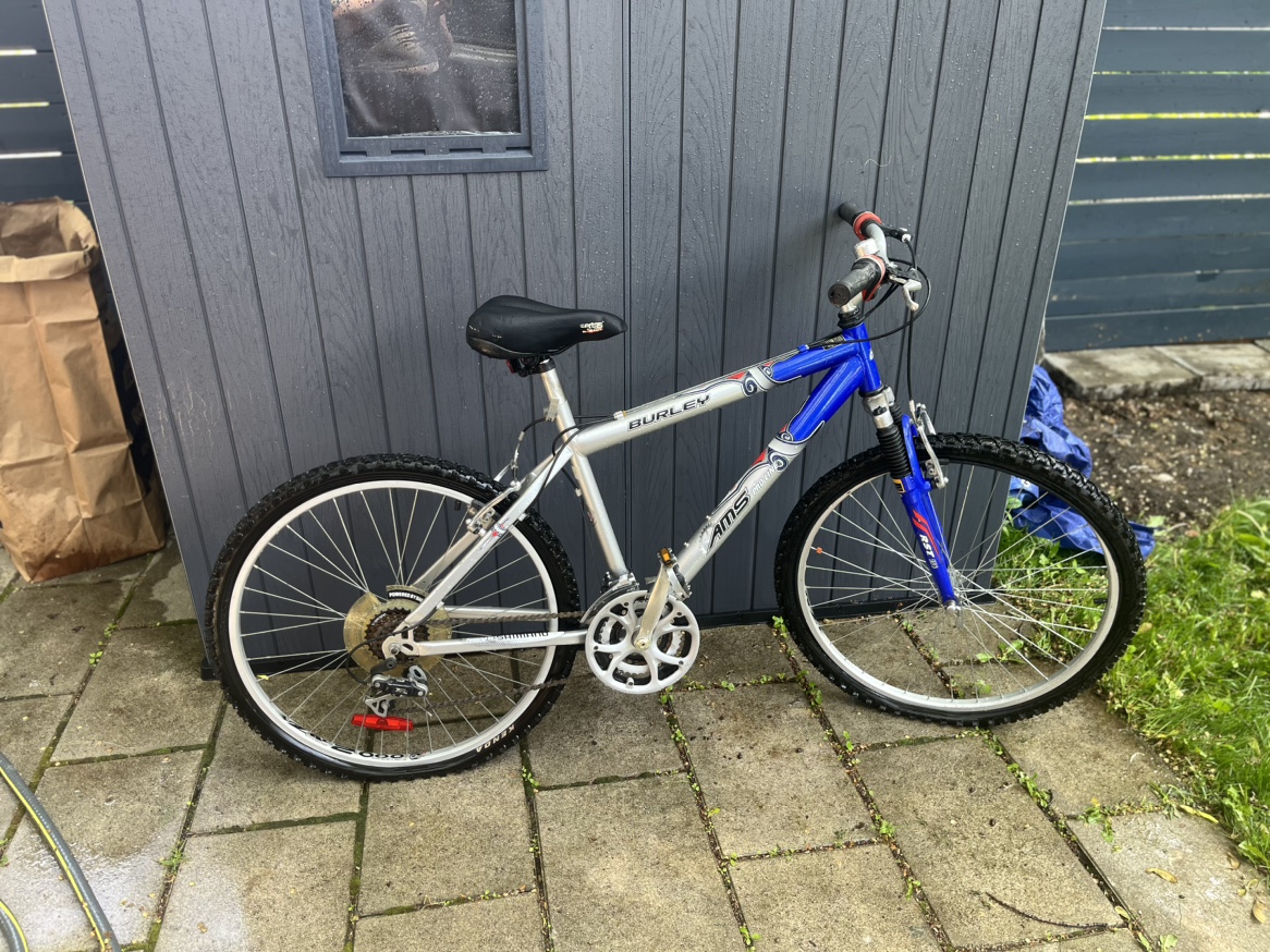 Adult 21 Speed Mountain Bike