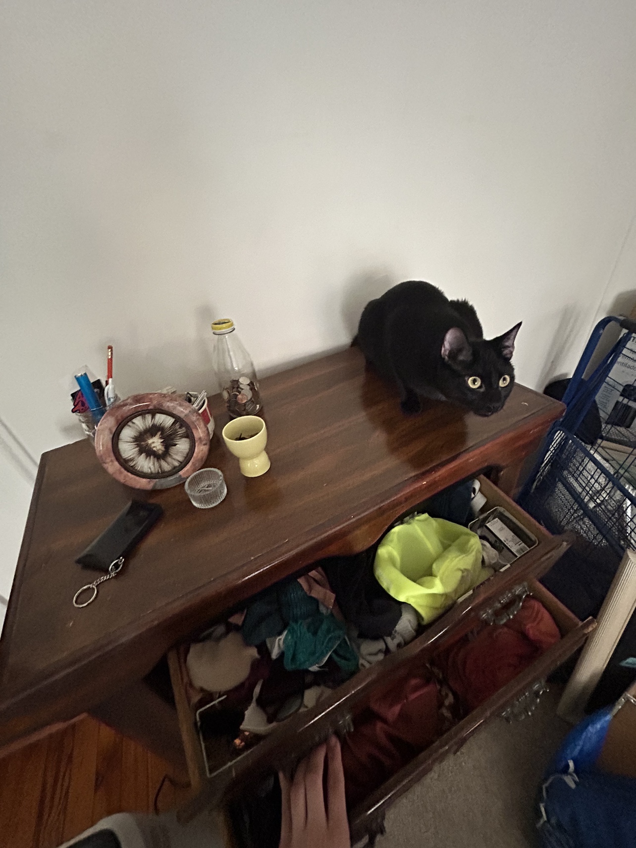 Free Dresser / Chest of Drawers