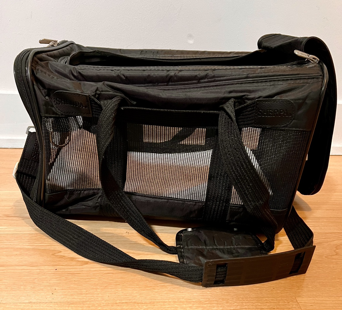 Puppy/small dog/cat carrier